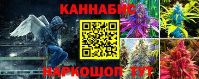 герыч Краснодар