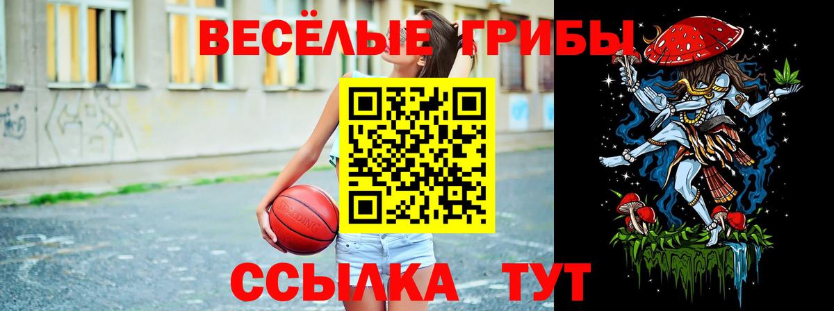 Псилоцибиновые грибы MAGIC MUSHROOMS  Вход с VPN  Качканар 