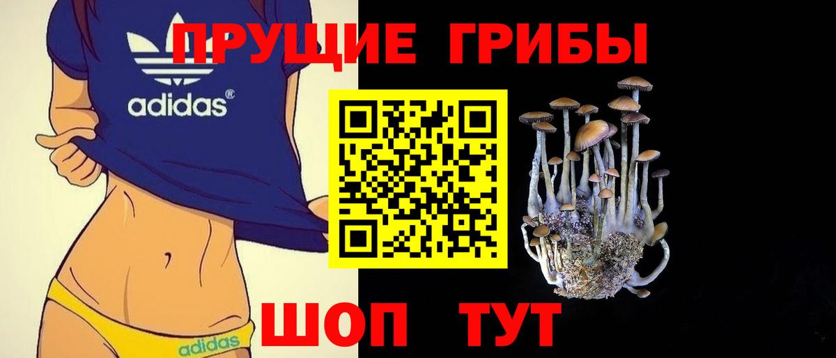 Псилоцибиновые грибы прущие грибы Качканар